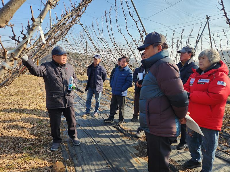 강화군_맞춤형_과수_전정교육_자두컨설팅_(2)