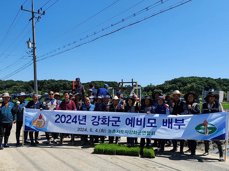 강화군,_못자리_실패_농가에_예비모_5,000장_공급_(1)