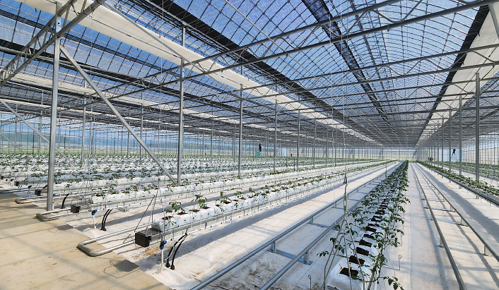 강화군_농업기술보급_양액재배시설