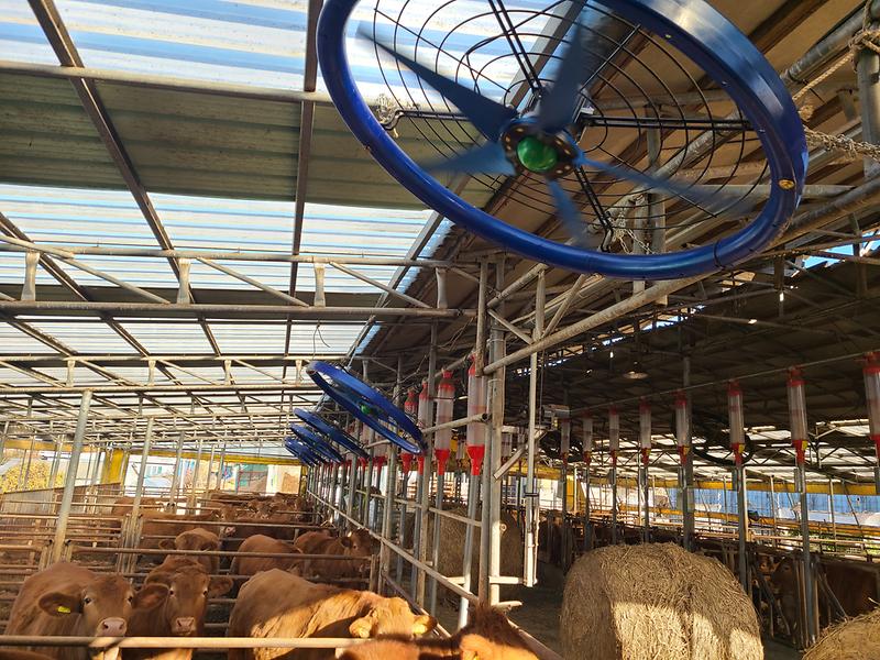 강화군,_여름_폭염_대비_축사_환경_개선_사업_추진