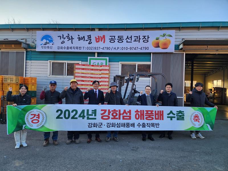 강화섬_해풍배_대만_수출