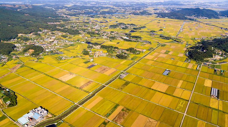 기본형_공익직불금_신청하세요_(1)