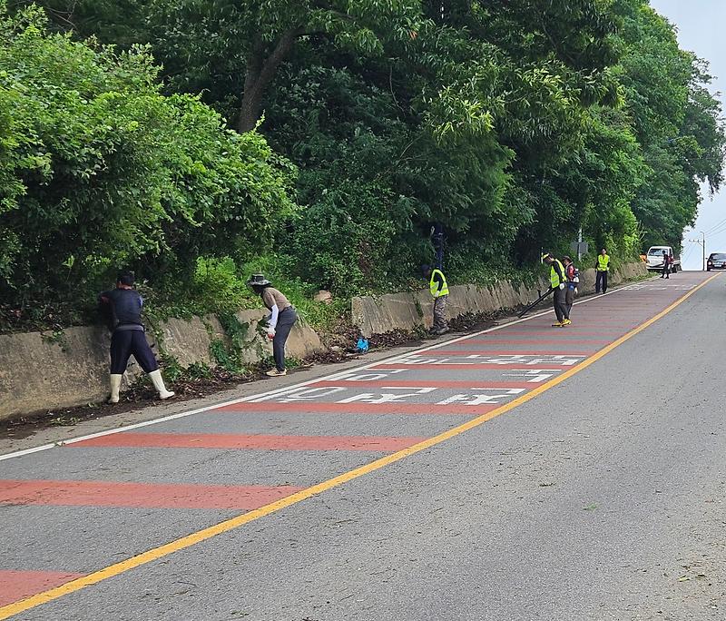 길상면_이장단,_생태계_교란생물_퇴치_활동_앞장