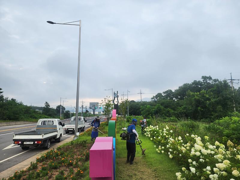 교도면_이장단_화단_제초작업_실시_(2)