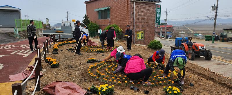 교동면_바르게살기위원회,_봄꽃_식재로_꽃내음_가득_(2)