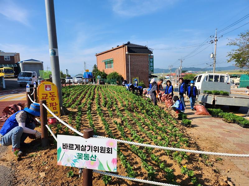 교동면_바르게살기위원회,_면사무소_입구_꽃동산_새단장