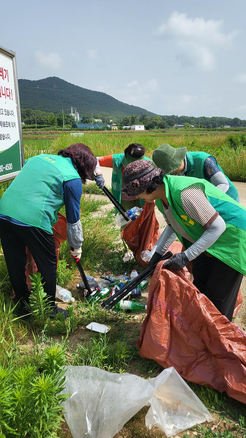 교동면_부녀회,_해안_쓰레기_수거로_환경보호_앞장_(2)