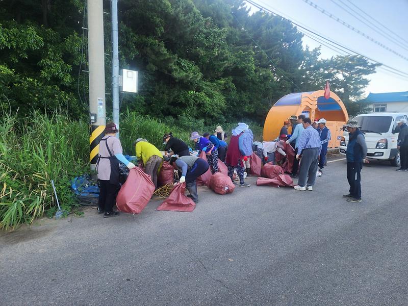 교동면_고구1리_마을_대청소_실시_(2)