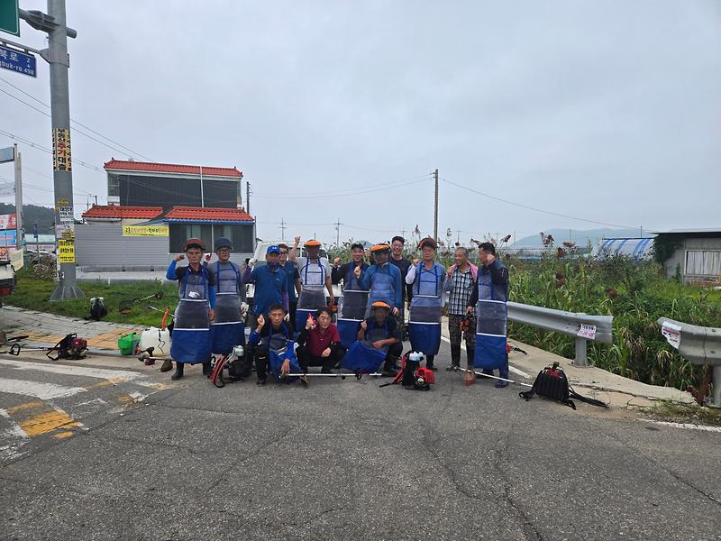 교동면_이장단,_제초작업