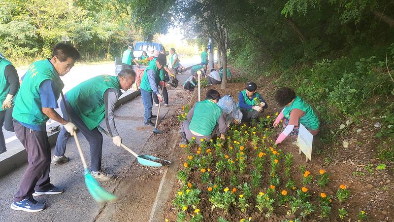 교동면_지도자,_부녀회_꽃_식재