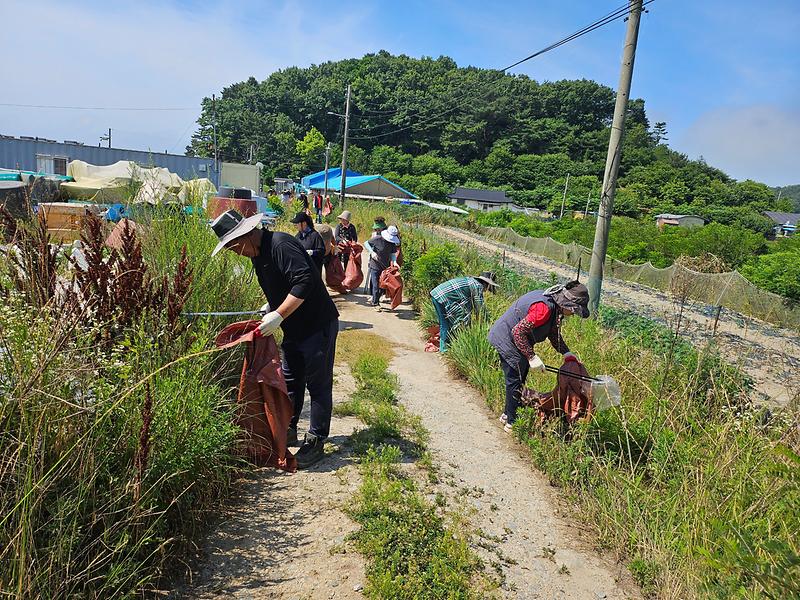 교동면_지역사회보장협의체,_해안가_환경정비_힘써_(1)
