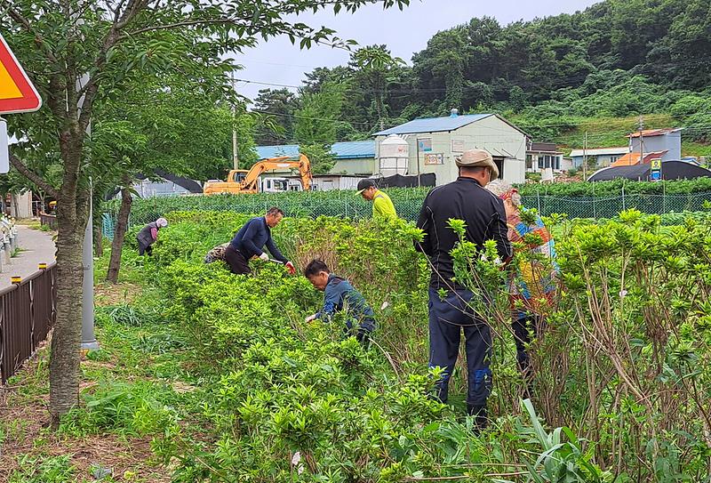 교동면_주민자치위원회_꽃동산_환경정비_(1)