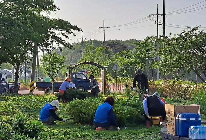 교동면_주민자치위원회,_꽃동산_제초_작업_실시