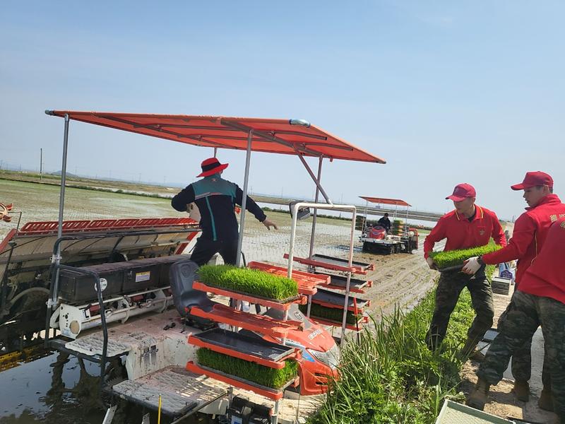 교동면,_모내기_농가_격려_방문_(2)