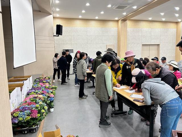 교동면,_내_나무_갖기_캠페인_전개