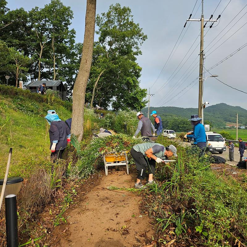 교동면_난정리,_갱기미동산_새단장_힘써