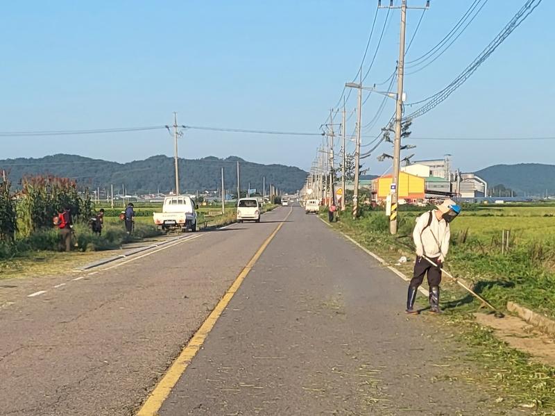 교동면_농업경영인회_제초
