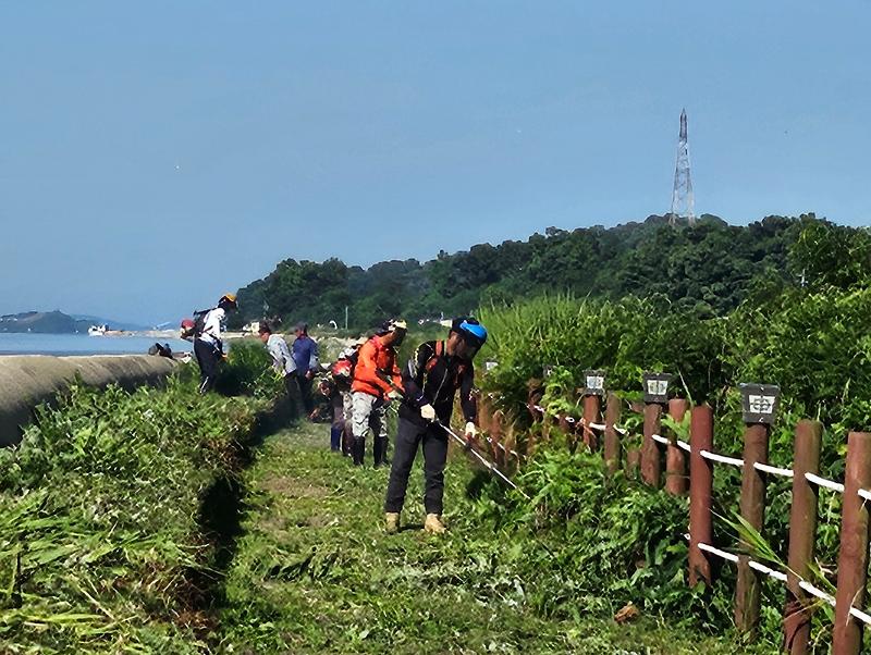 교동면_농업경영인회,_나들길_제초로_방문객_맞이_(1)