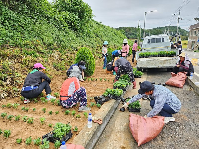 교동면_사보체,_꽃동산_조성