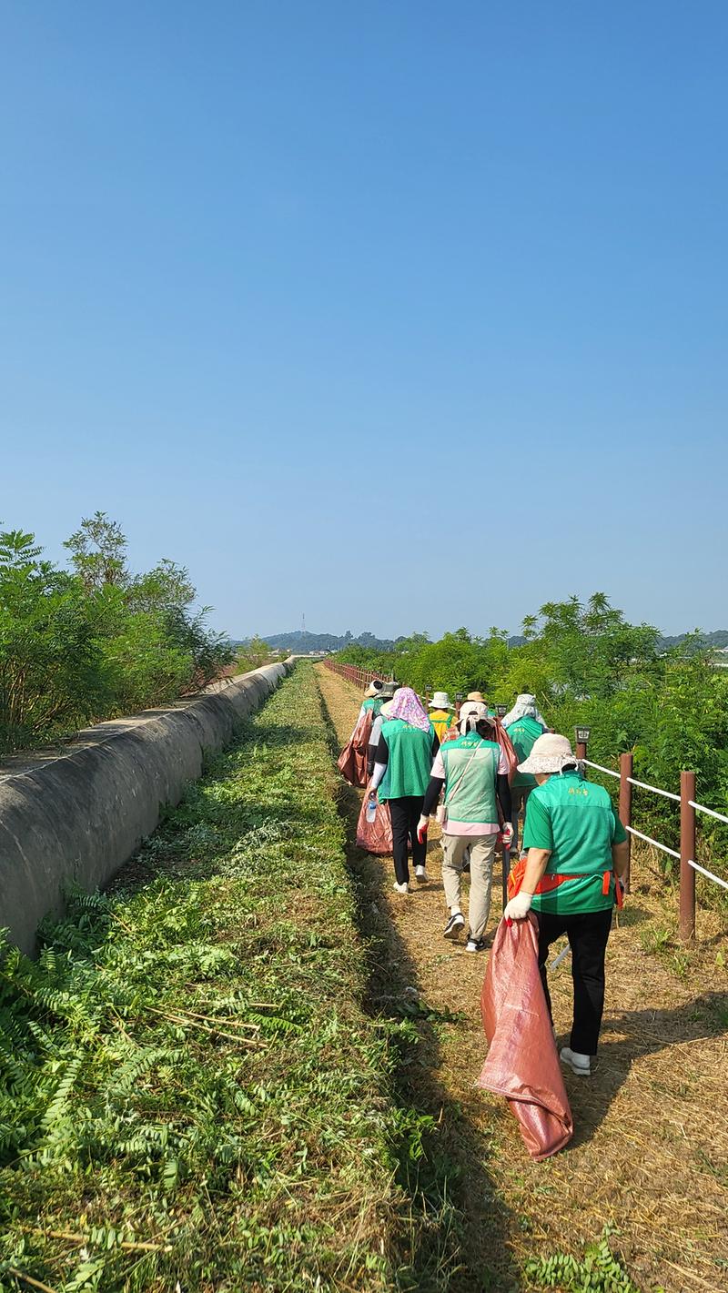 교동면_새마을부녀회，_해안가_나들길_환경정화_실시
