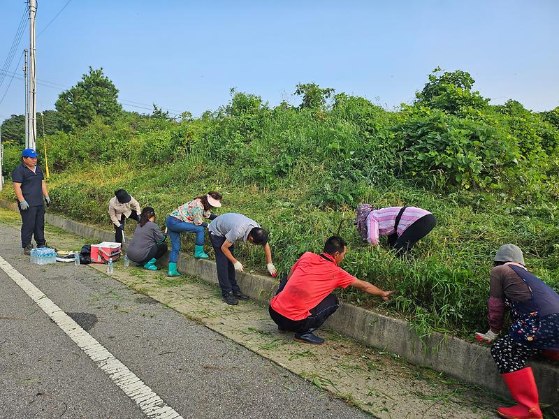 교동면_사회보장협의체,_도로변_환경정비_힘써