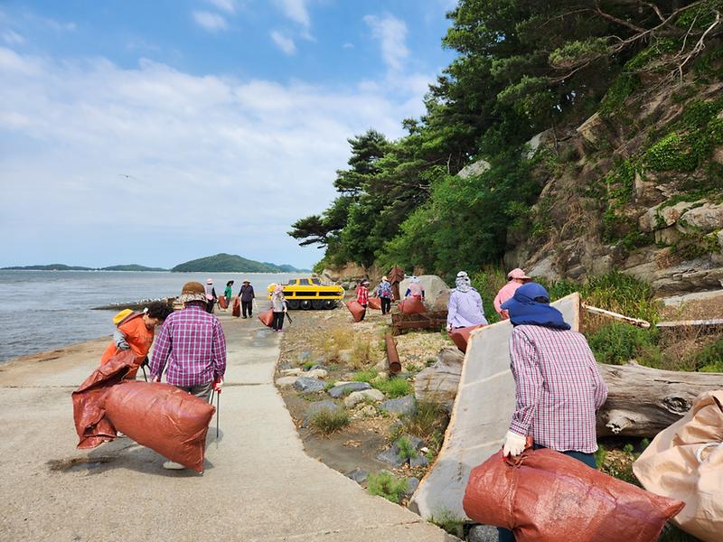 교동면_여성게이트볼회,_해안가_환경정비에_힘써_(1)