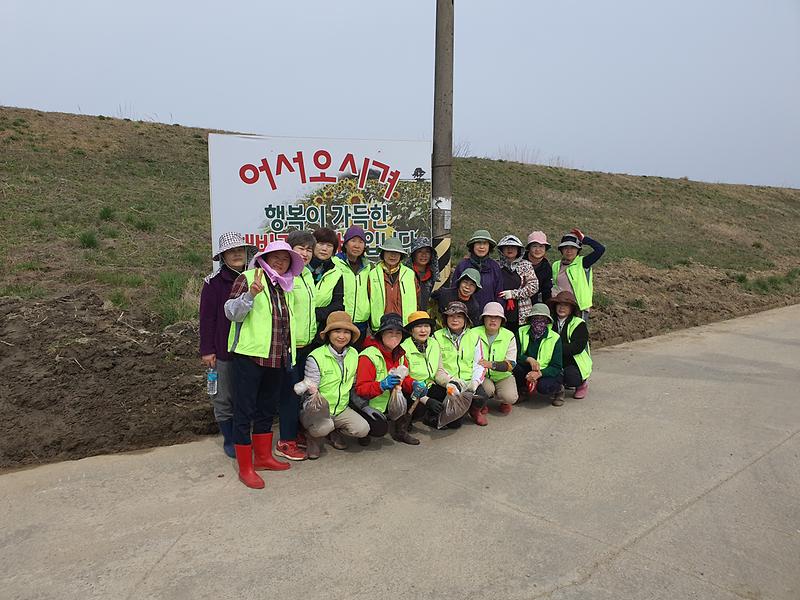 교동면_여성농가주부모임,_봄맞이_금계국_꽃씨_파종_(1)