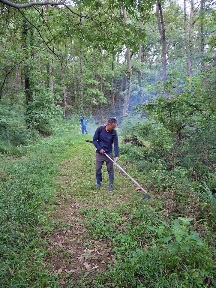 하점면_이장단,_추석맞이_공설묘지_주변_제초작업