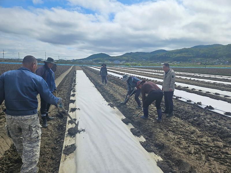 하점면,_못자리_작업_현장_방문_격려_(1)