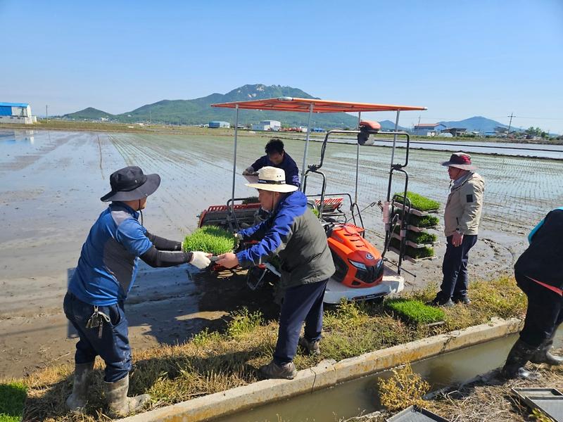 하점면,_올해_첫_모내기_진행_(1)