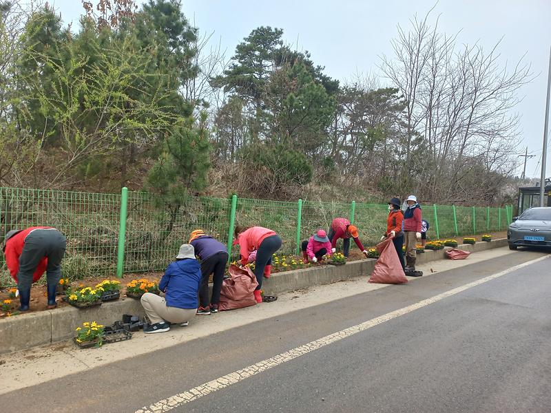 한국자유총연맹_교동면_회원,_교동대교_입구_화단_조성_(1)
