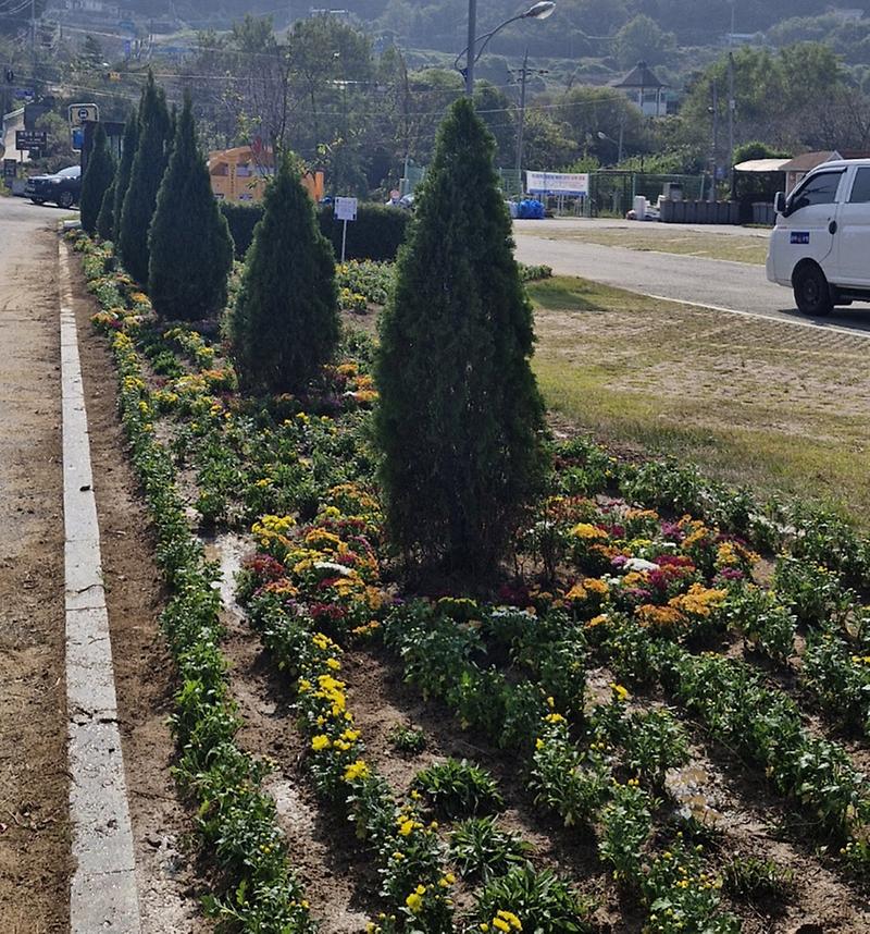 화도면,_“향기로운_가을꽃이_가득한_화도면으로_놀러_오세요!”