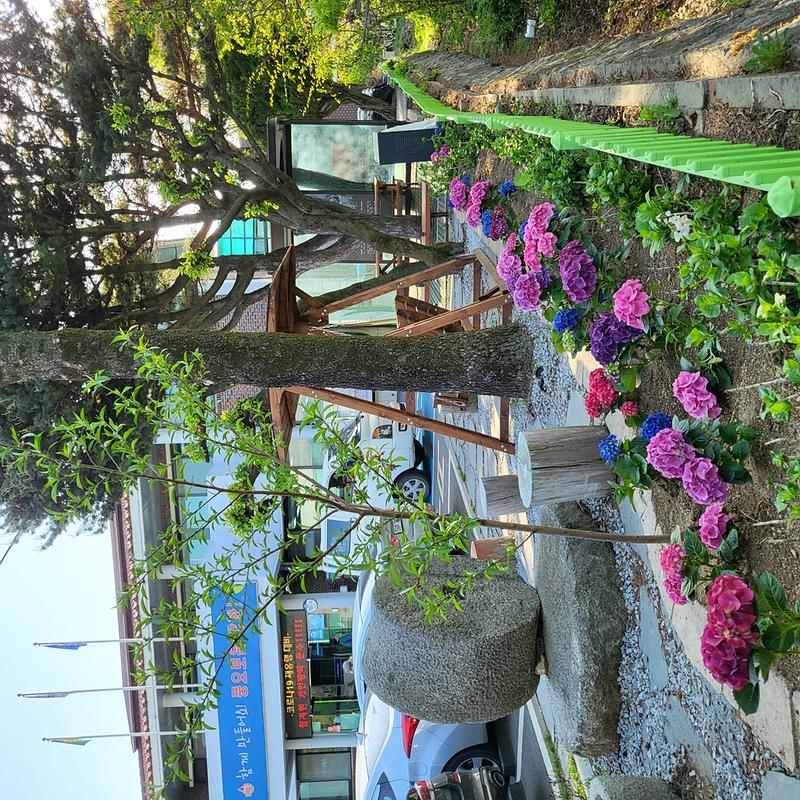 화도면,_봄꽃_식재로_향기_가득한_면사무소_조성_(1)