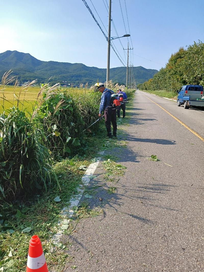 화도면_추석맞이_새단장_위해_제초작업_구슬땀