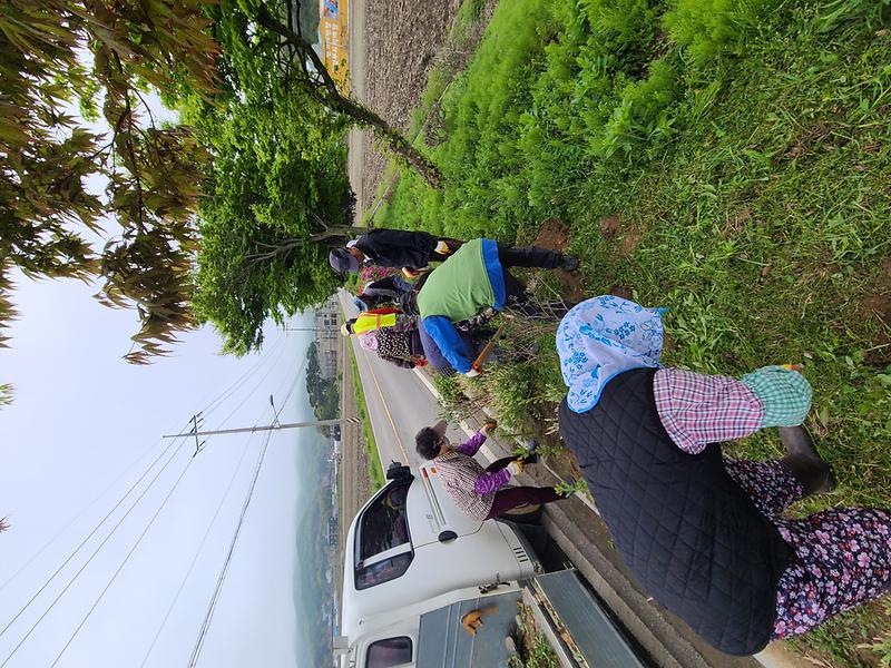 화도면,_다채로운_꽃나무_식재로_꽃내음_가득_(1)