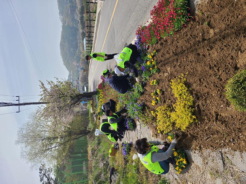 화도면_주민자치위원회,_봄_꽃_단장으로_향기_전파_(2)