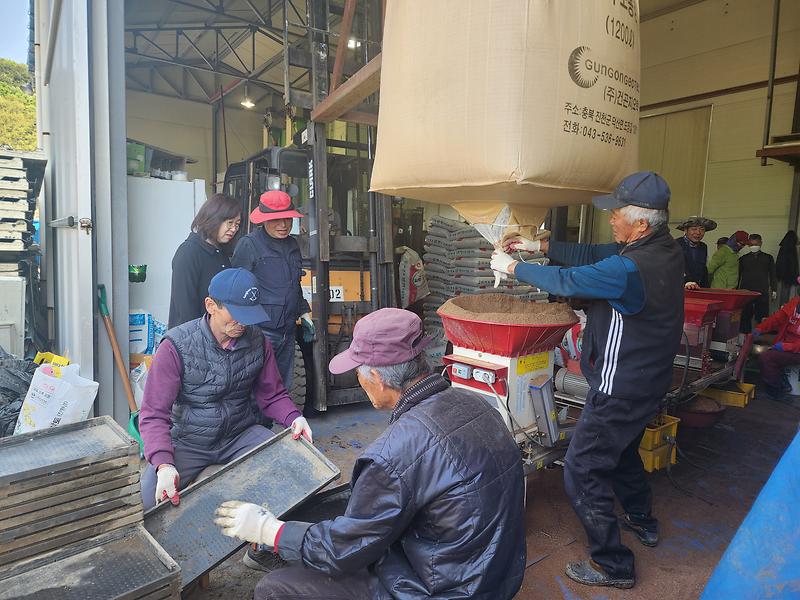 화도면,_못자리_현장_방문해_농가_격려_(1)