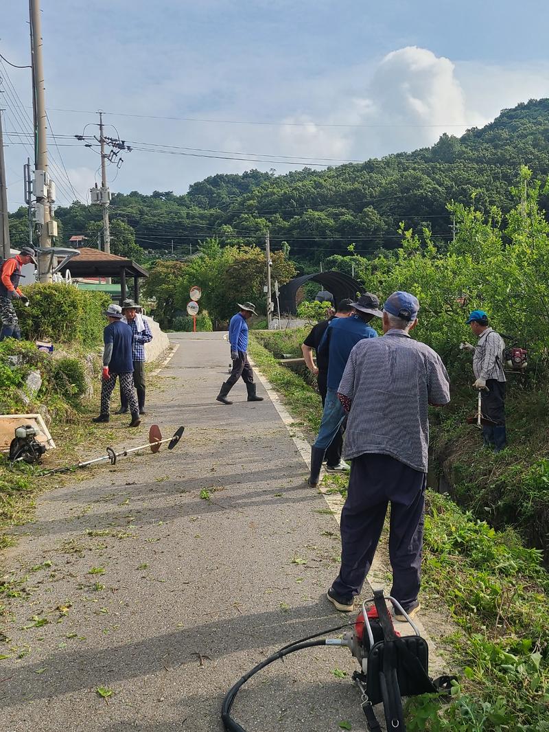 화도면_여차1리_여름맞이__마을_청소(2)