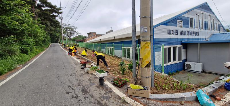 내가면_자원봉사상담가,_초화_식재로_아름다움_더해_(2)