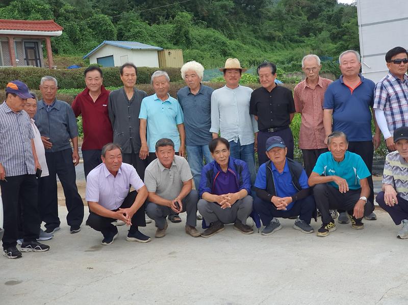 내가면_노인회_외포고개_환경정화_실시