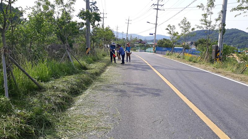 내가면_농촌지도자회,_도로변_제초_작업_실시