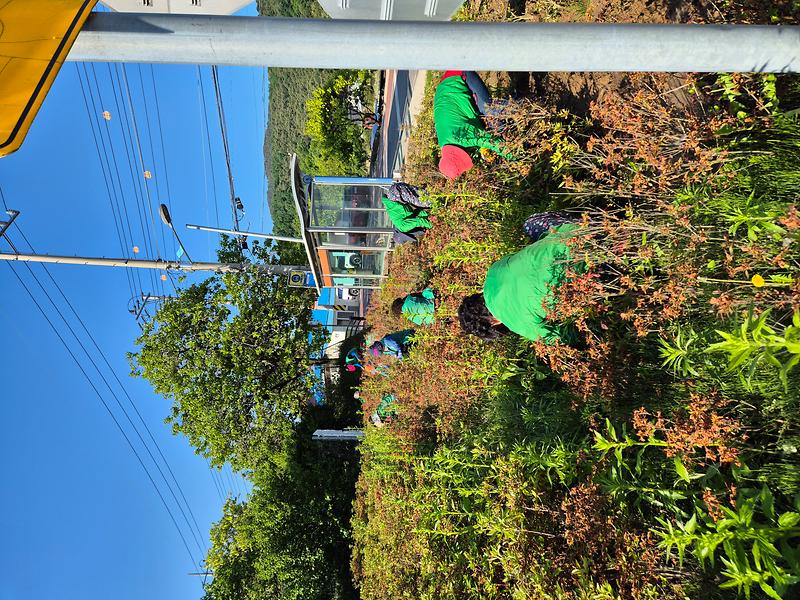 내가면_새마을부녀회,_고천리_화단_제초_작업_(2)