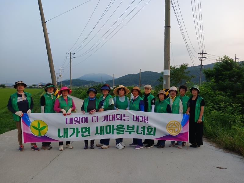 내가면_새마을부녀회,_내가천_일원_청소_실시
