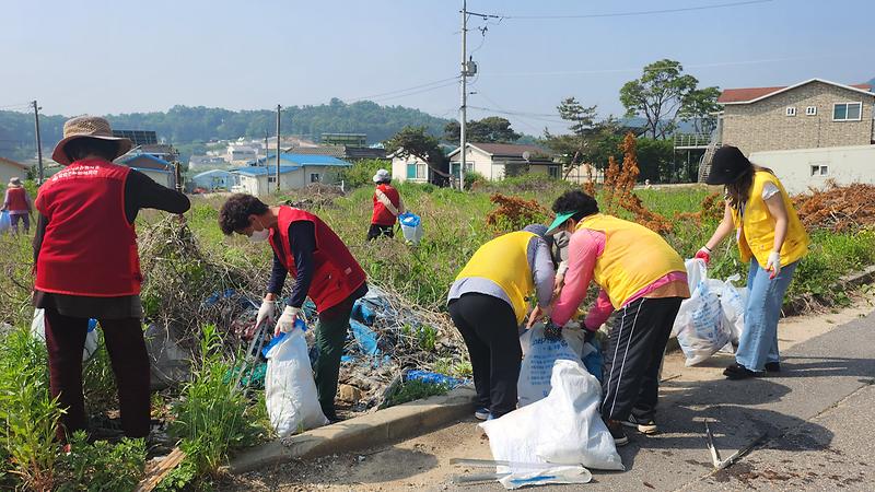 노인일자리_활동_모습
