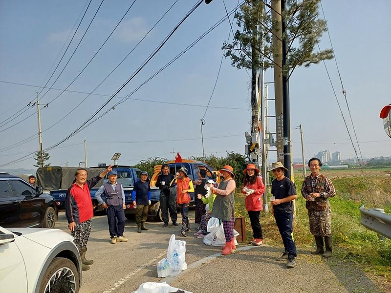 선원면_주민자치위원회,_생태계_교란생물_퇴치_작업