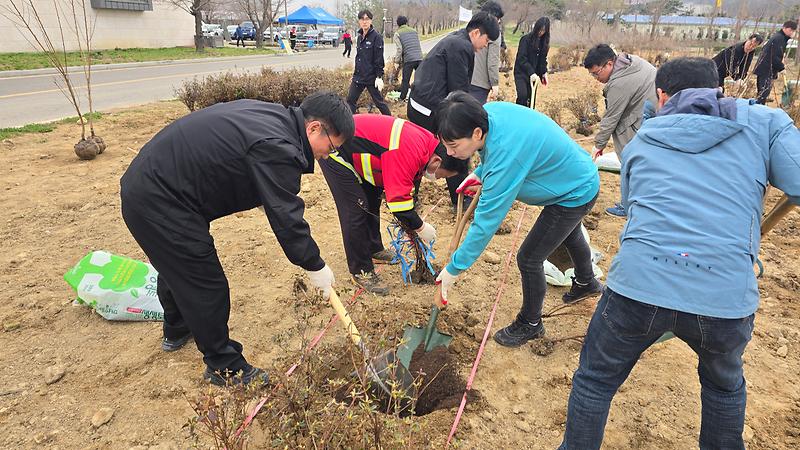 식목일나무심기_(2)