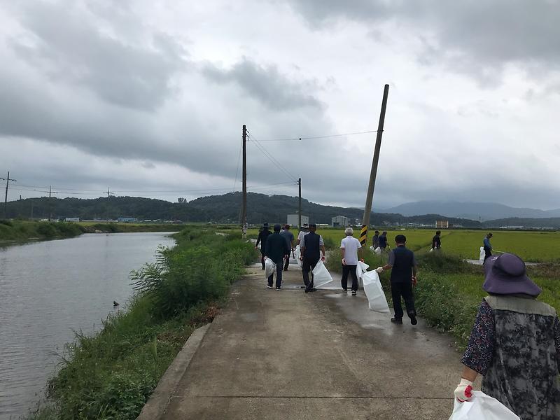 송해면_노인회，_환경정화_활동