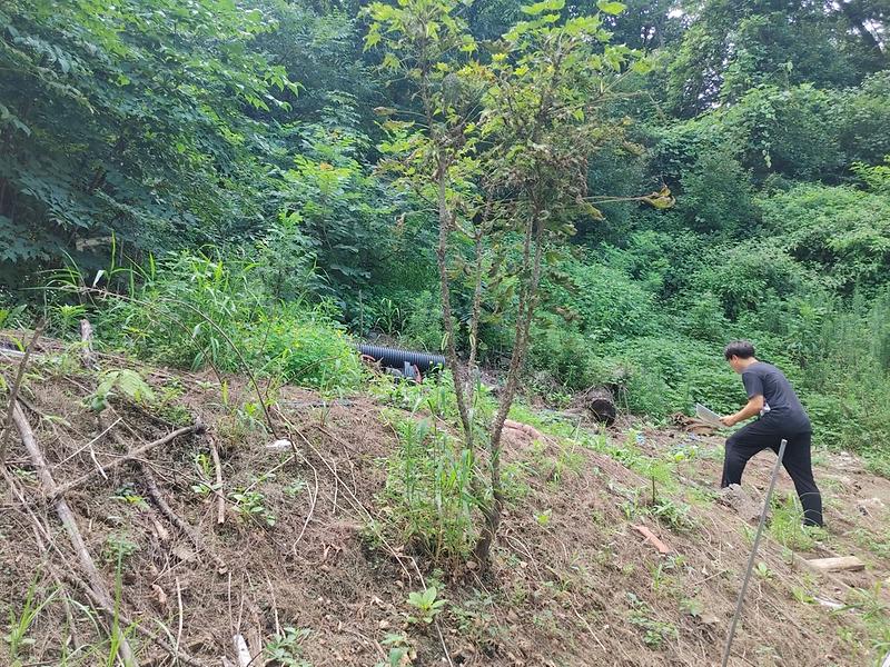 우기_대비_급경사지_33개소_안전_점검_돌입_(1)