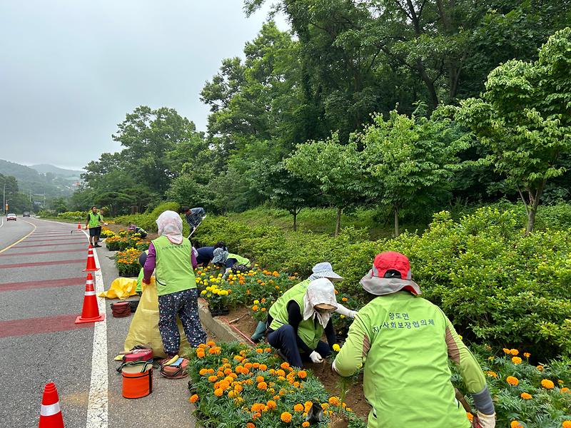 양도면_가로화단_정비작업_실시_(3)