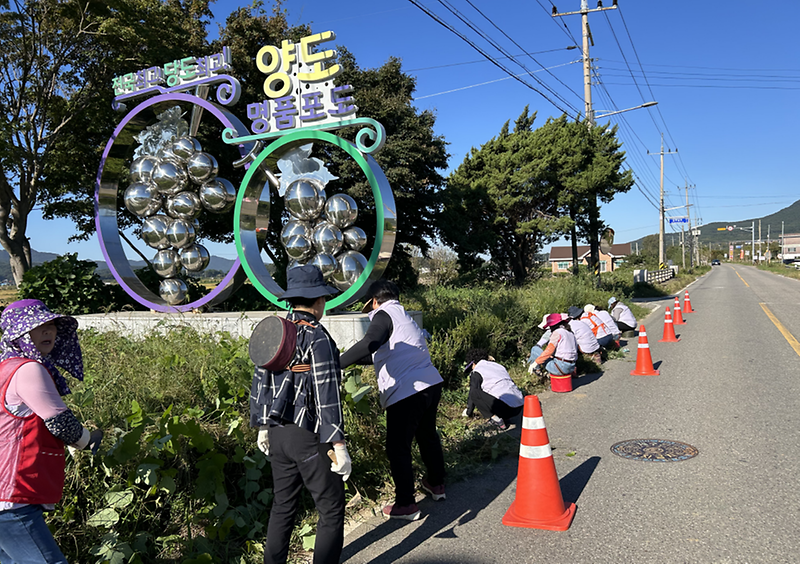 양도면_자유총연맹_가로화단_정비활동